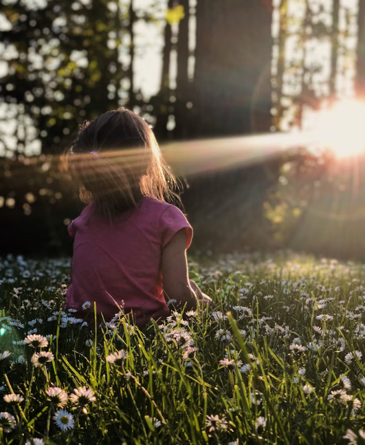 Person holding a small plant