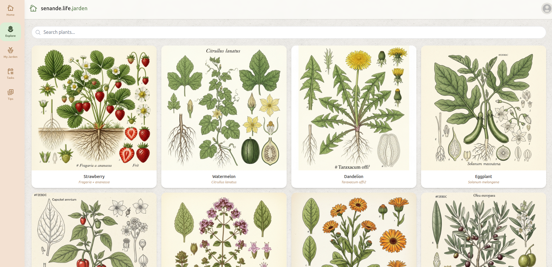 Jarden main screenshot