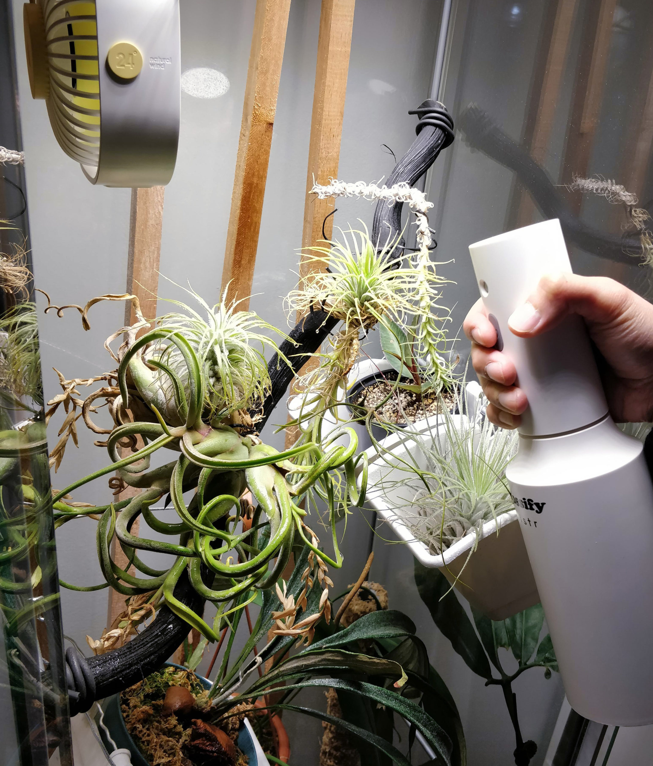 Misting: What is it actually useful for?